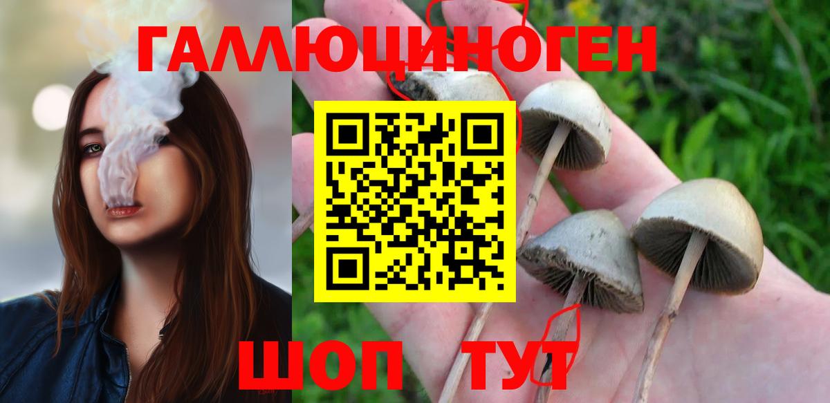Галлюциногенные грибы MAGIC MUSHROOMS Конаково